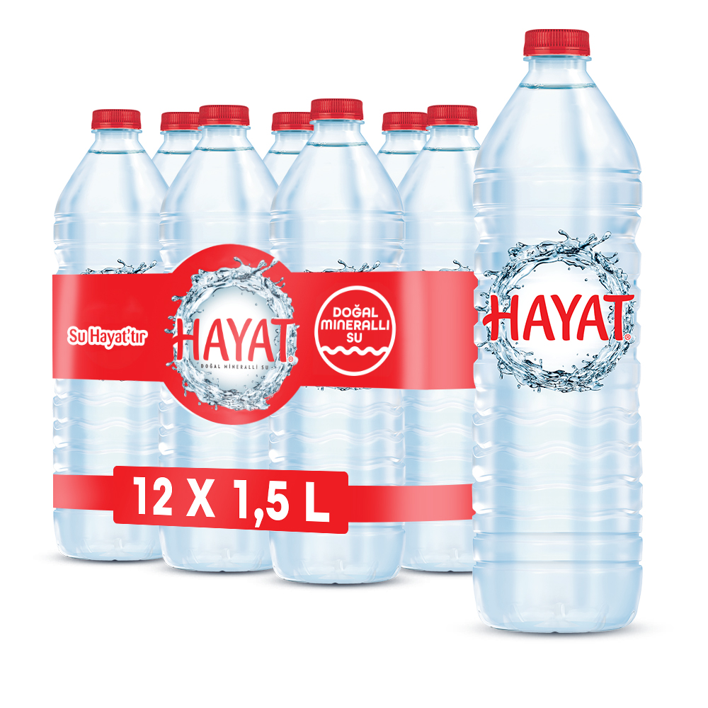 HAYAT 1,5 LT PET SU (6 ADET)