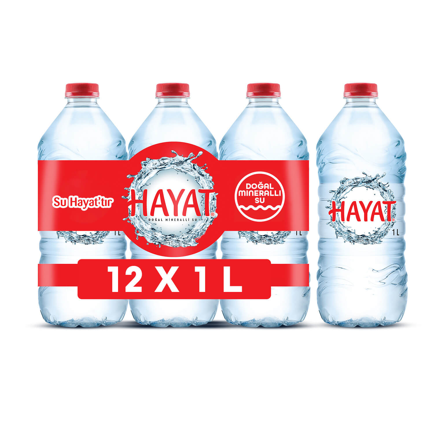 HAYAT 1 LT PET SU (6 ADET)