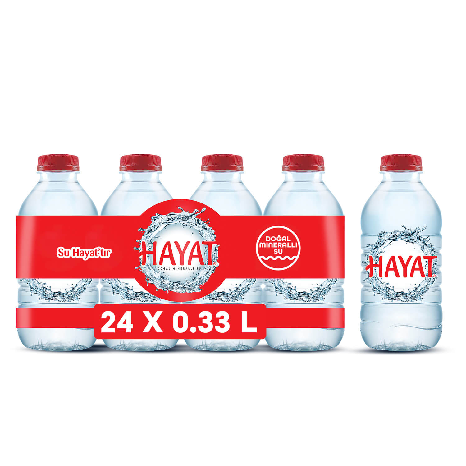 HAYAT 0,33 LT PET SU (12 ADET)
