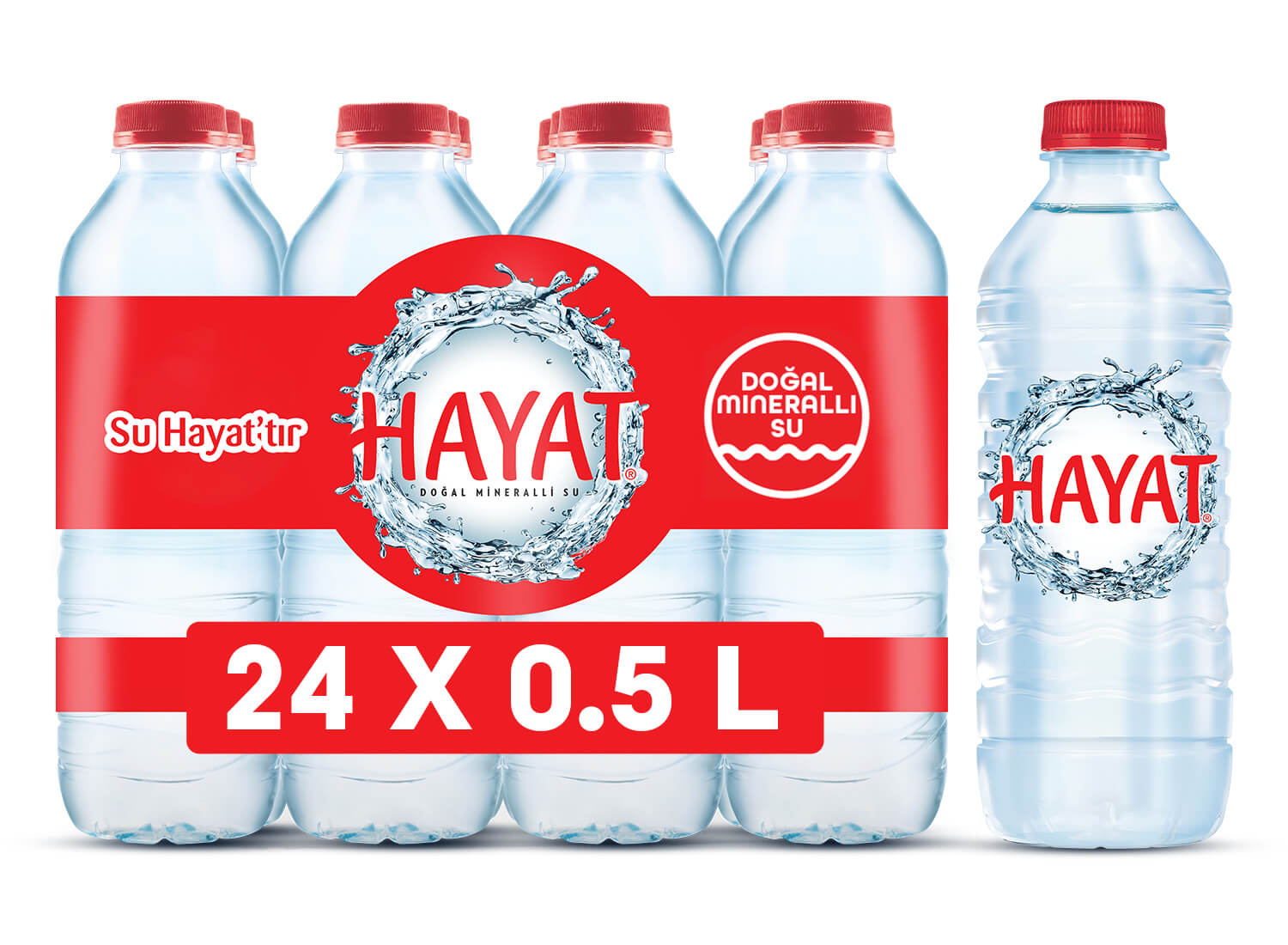 HAYAT 0,5 LT PET SU (12 ADET)